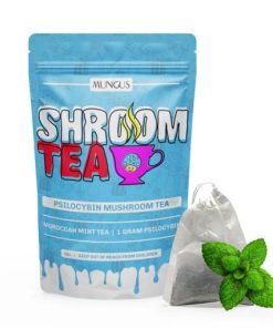 Moroccan Mint Shroom Tea