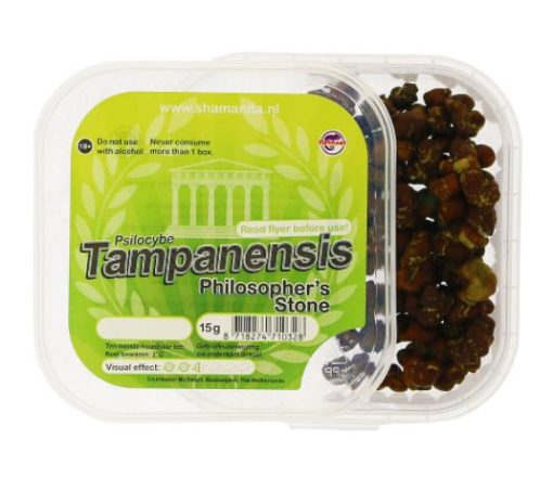 buy Tampanensis Magic Truffles in sweden online